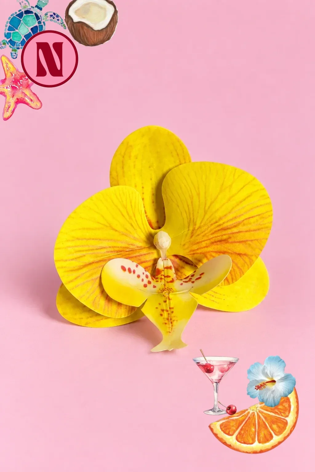 Pinza de Orquídea